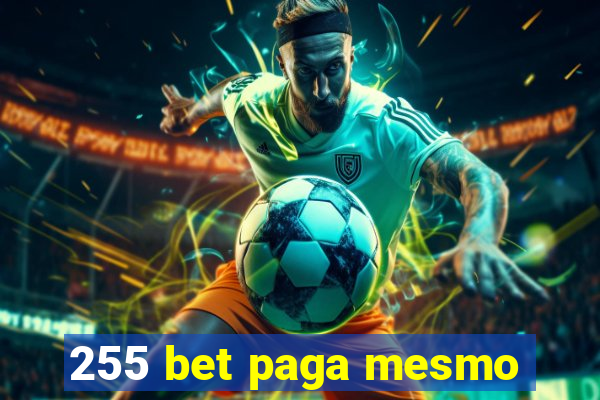 255 bet paga mesmo